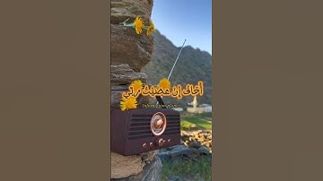 القارئ عبد الرحمن مسعد // سورة الزمر || آية ١٣ 🌸  #القرآن_الكريم   #short