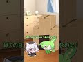 【Shorts】段ボールでひみつ基地を作ったちっちゃずんだもん