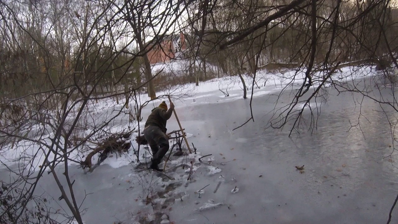 Beaver trapping under the ice in CT with Trapper Don & Rob Lee YouTube