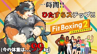 【Fit Boxing2】一時間ひたすらステップよ！！