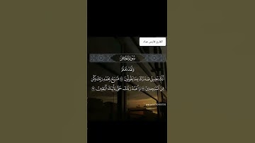 #قران_كريم #تلاوة_خاشعة #فارس_عباد
