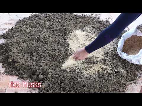 Instructions for mixing soil to grow vegetables at home for high yields and less pests