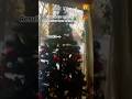 Decorate my Christmas tree w/me #christmas #fyp #makethisgoviral #artwithmi #shorts #fypシ゚viral