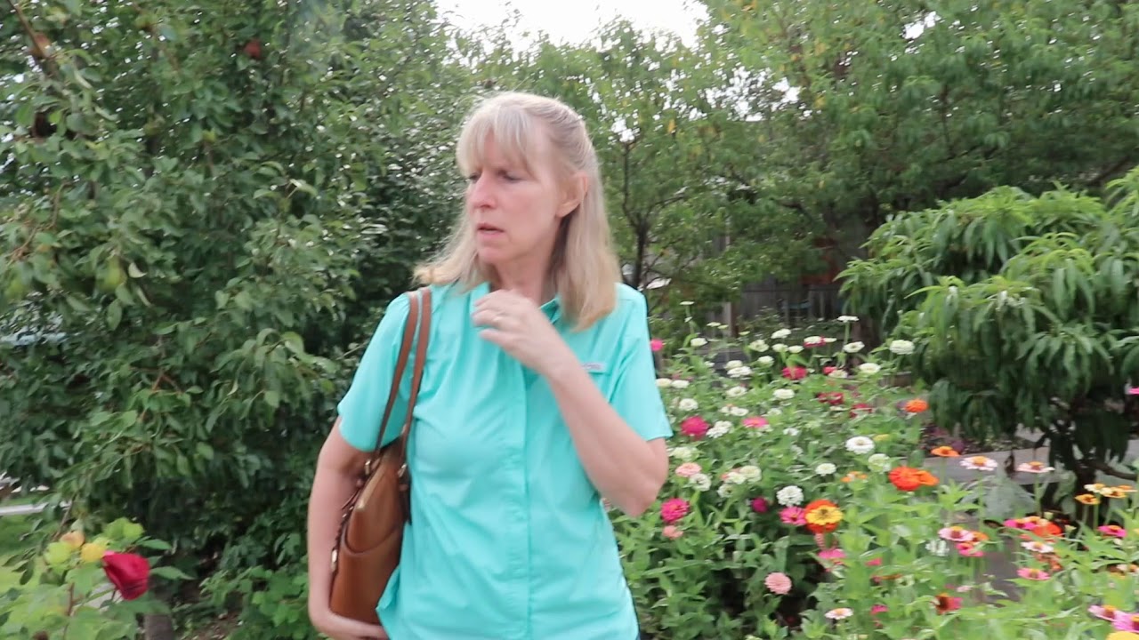 Savvy Organics Farm Visits Baker Creek YouTube