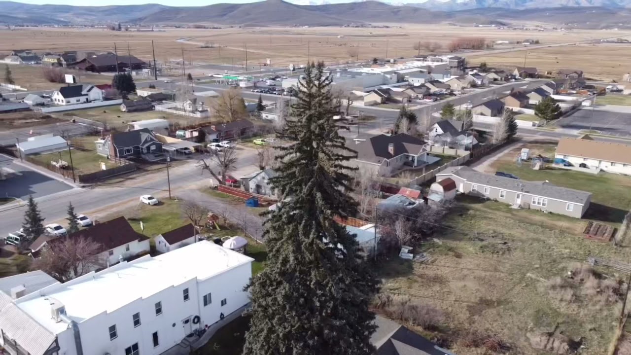 Tallest tree in Kamas Utah