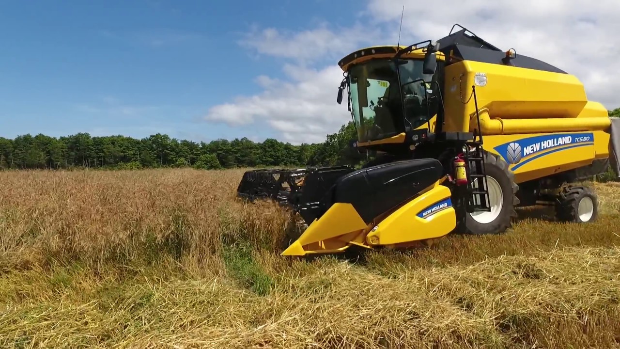 鳥取県 小麦収穫 New Holland TC5.80