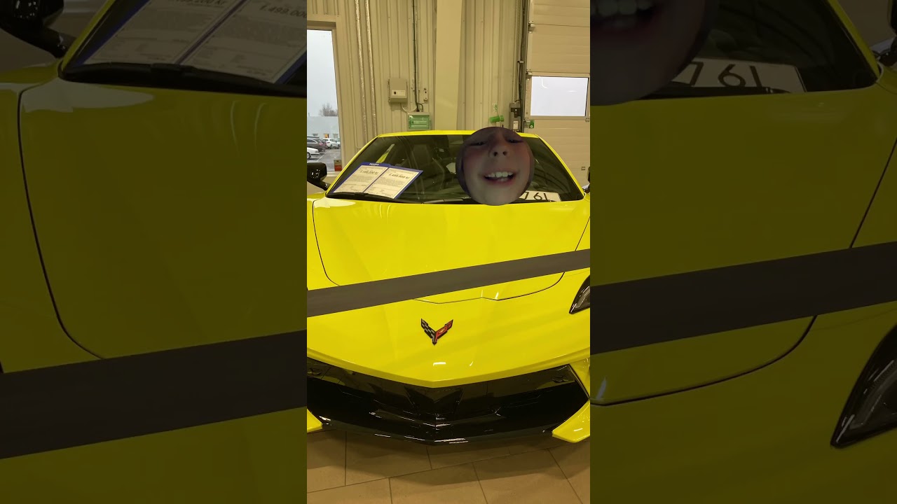 Störiga bil föraren