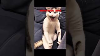 Momant Before Cooked