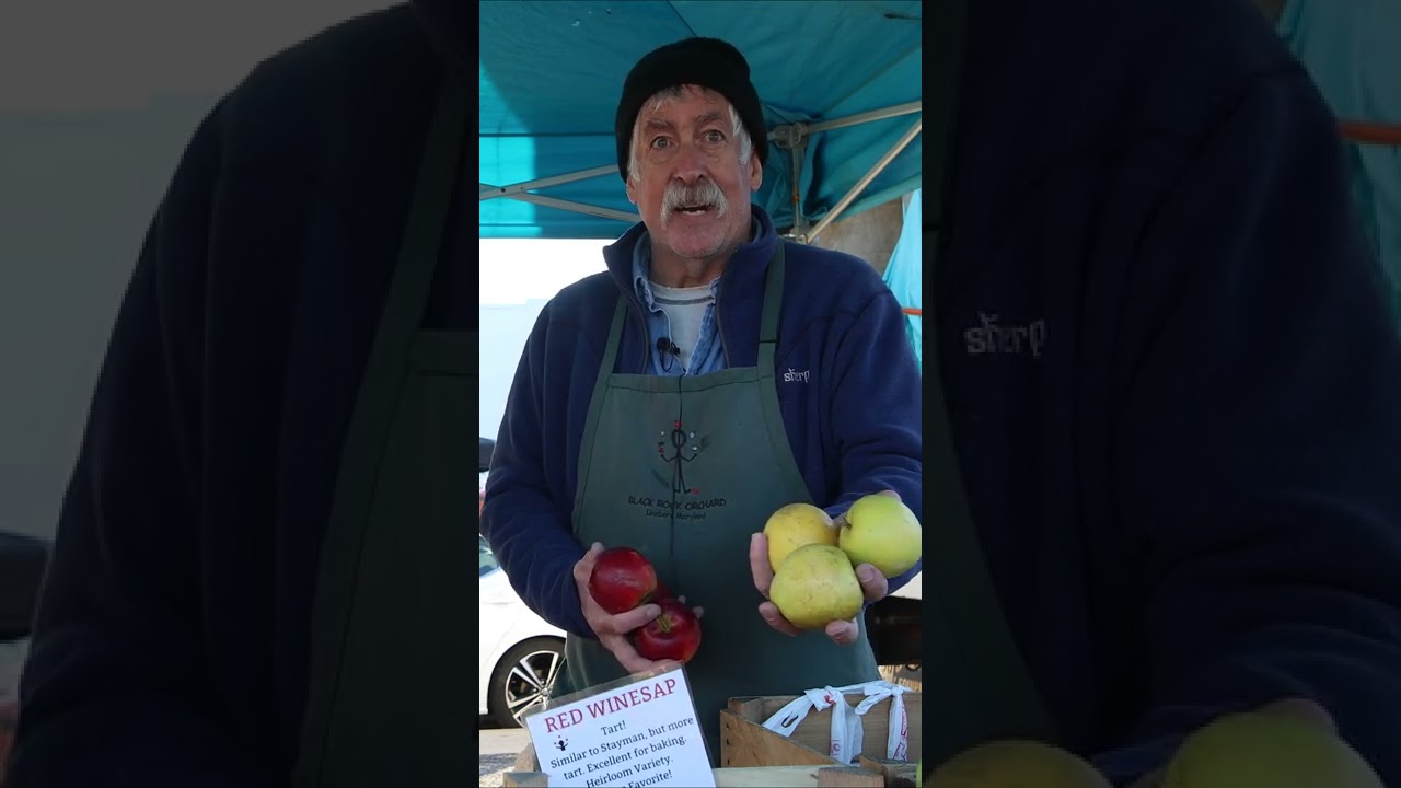 Apple 101: New Varieties of Apples 