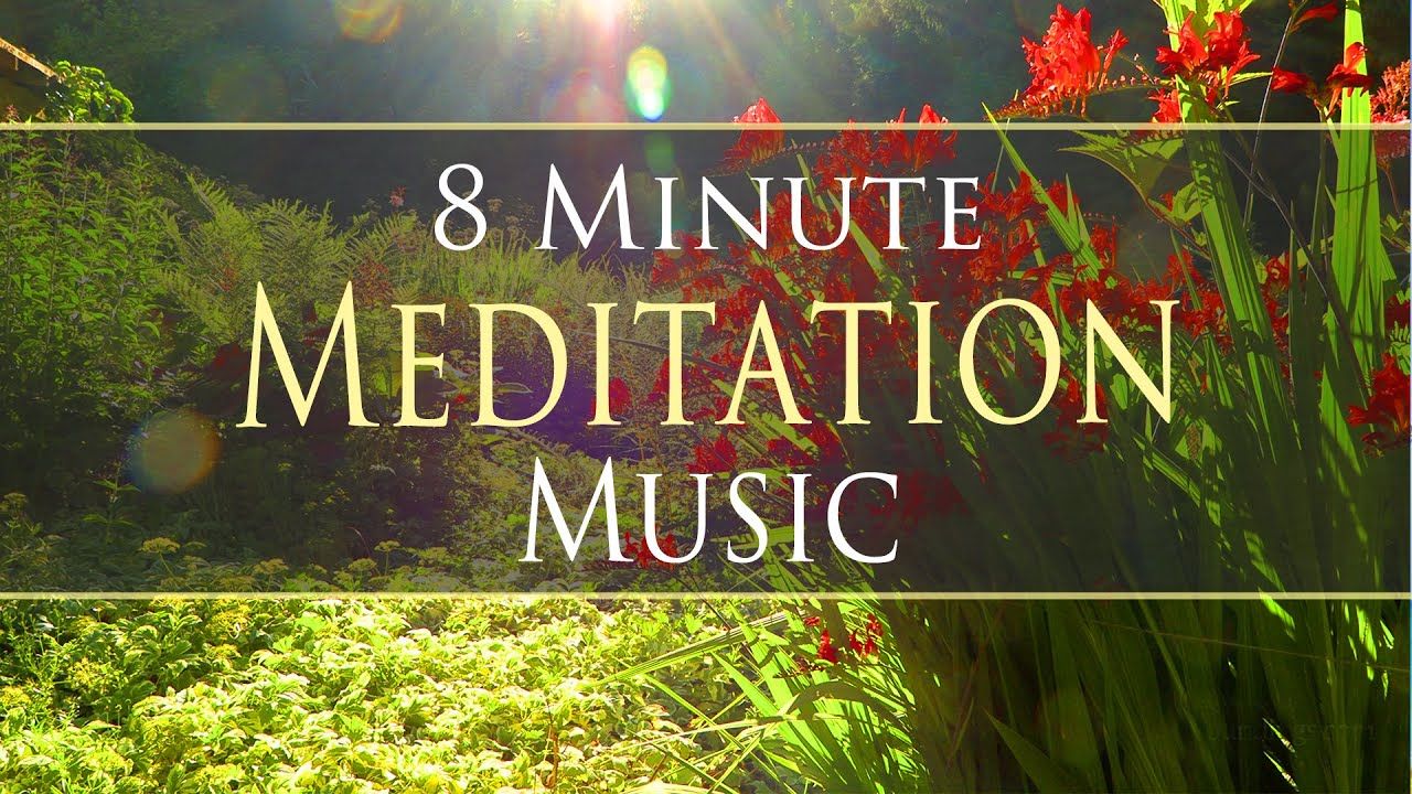 8 Minutes of Pure Zen Meditation Music to Center You 😌🌿💆🏼‍♀️🧘🏻‍♂️ YouTube