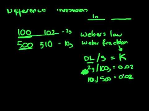 17 Psychophysics - Difference Threshold and Weber Fractions