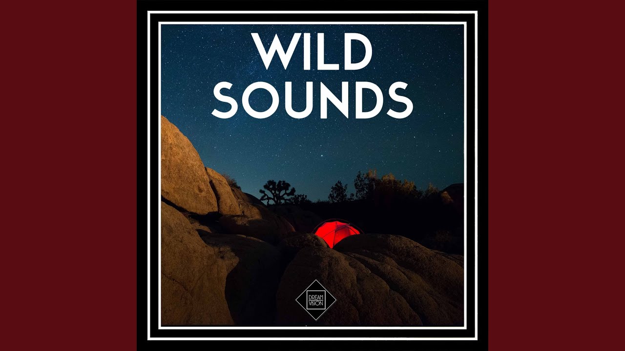 Watch Error Increase on YouTube Watch Error Increase on YouTube