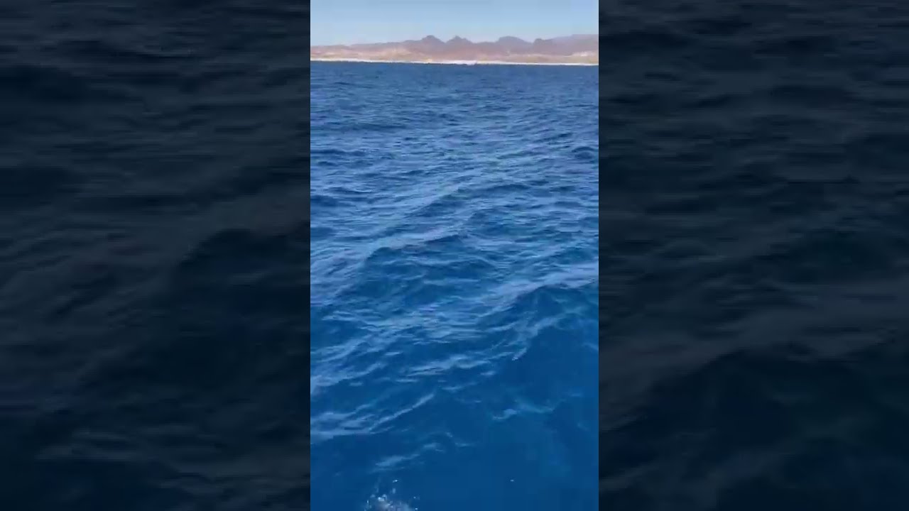 Egypt. Red Sea. Sharm el Sheikh. Египет. Красное море. Шарм эль Шейх
