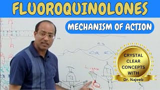 Fluoroquinolones | MOA | Drugs Acting On DNA Topoisomerases🩺