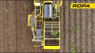 ROPA Keiler 2 Doubleselect bei P. & P. Coenen in Nordrhein-Westfalen