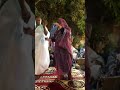 اجمل رقص موريتاني تعلم رقص موريتاني اجمل رقص موريتاني تعلم رقص موريتاني