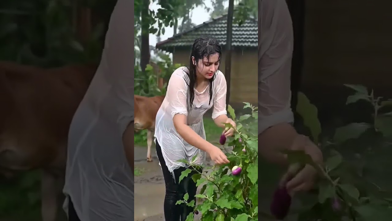 Harvesting vegetable #farming101 #satisfying gardening