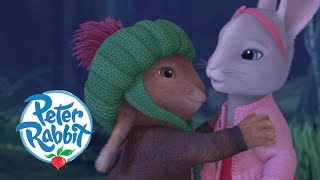 Peter Rabbit - The Meaning of Friendship | Cartoons for Kids