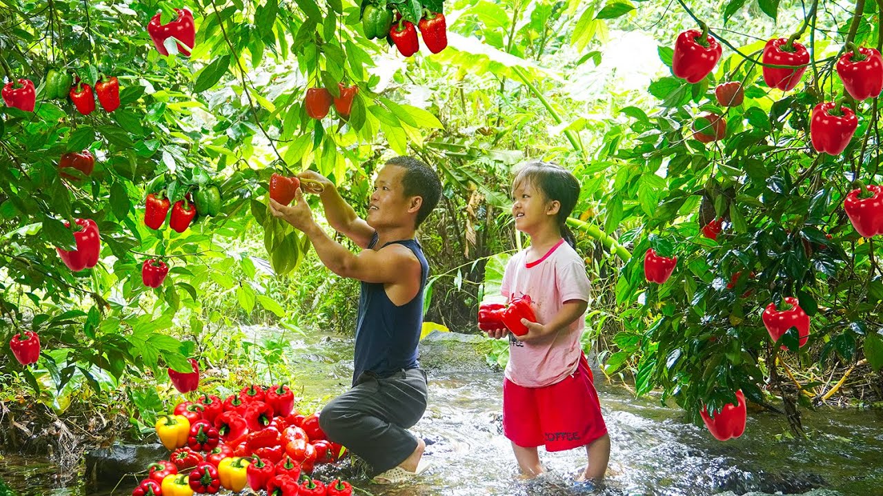 Семья гномов устанавливает ловушки для рыбы - собирает урожай болгарского перца и отправляет его ...