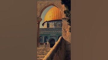 قاتلوهم يعذبهم الله بأيديكم ويخزهم وينصركم عليهم ويشف صدور قوم مؤمنين | الآية 14 من سورة التوبة