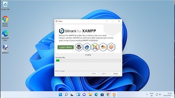 How to Install XAMPP Server on Windows 11