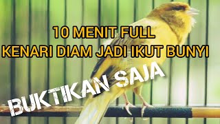 CUKUP 10 MENIT KENARI DIAM JADI IKUT GACOR LAGI || #masterankenari #kenari