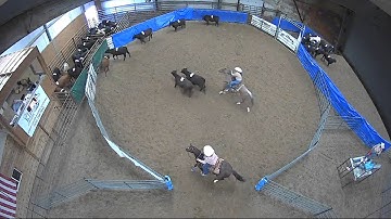 Big Sky Ranch Sorting Saddle Series #4 - #8 HC RANCH HAND (2 CAP SORTER) - Round #1 - Ride #21