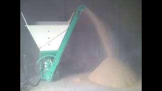 Korte 700 rolling dry barley and wheat mix