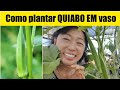 #7dicas super poderosas: NUNCA PLANTE quiabo sem ver esse vídeo antes!!