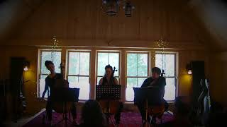 Bach Cello Suite III: Prelude and Allemande