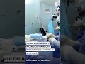 CUT del Biobío se suma a recurso contra recorte presupuestario a hospitales de la región