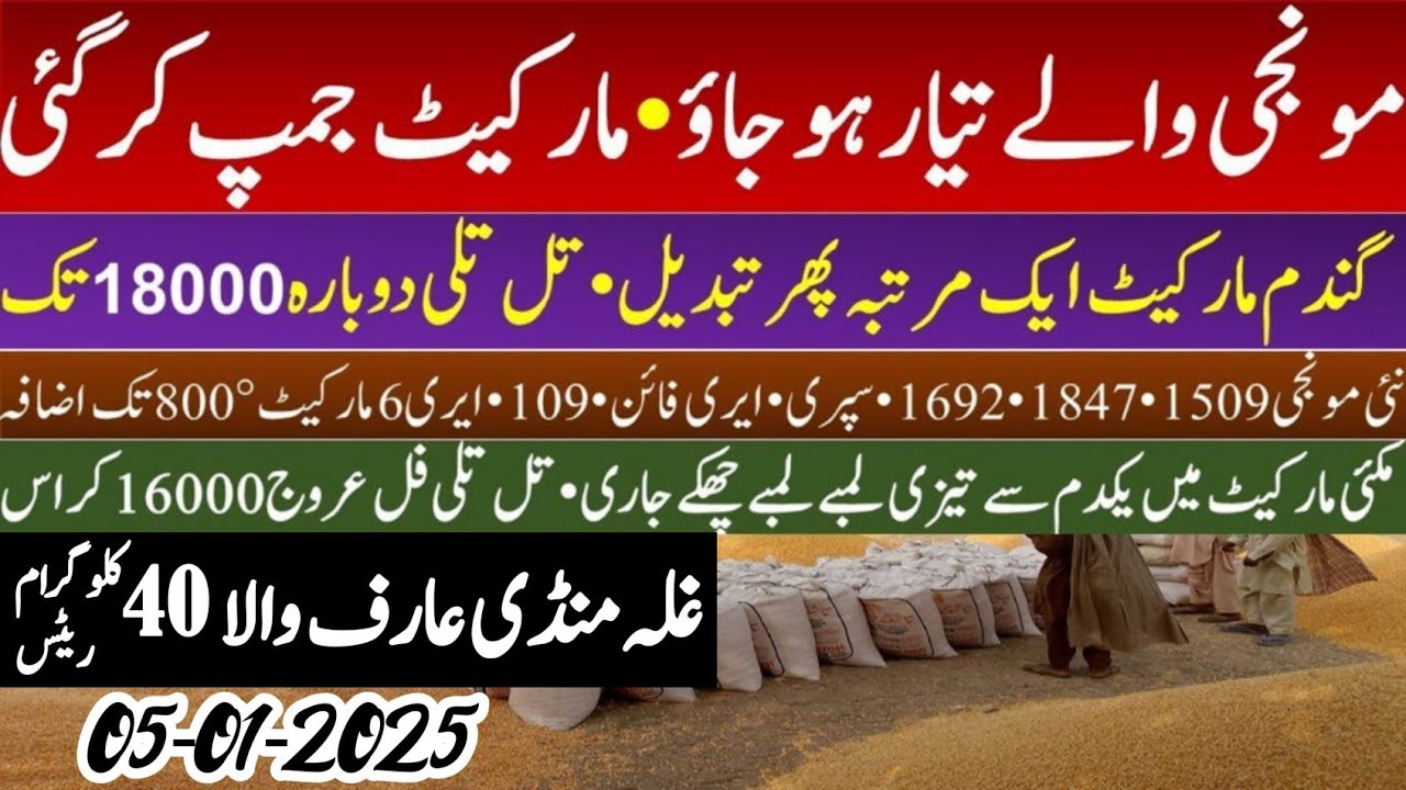 Wheat rates 2025/wheat price today in punjab/Gala Mandi rates today ...