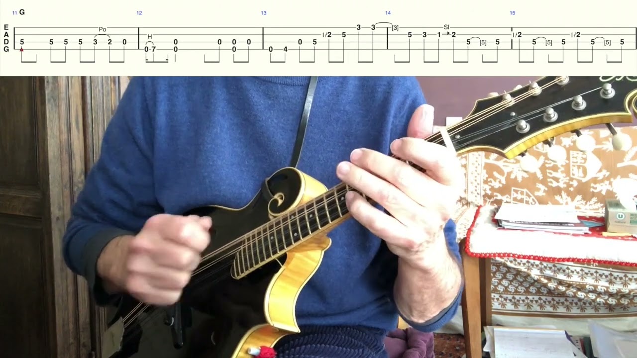 Foggy Mountain Special - Wayne Benson