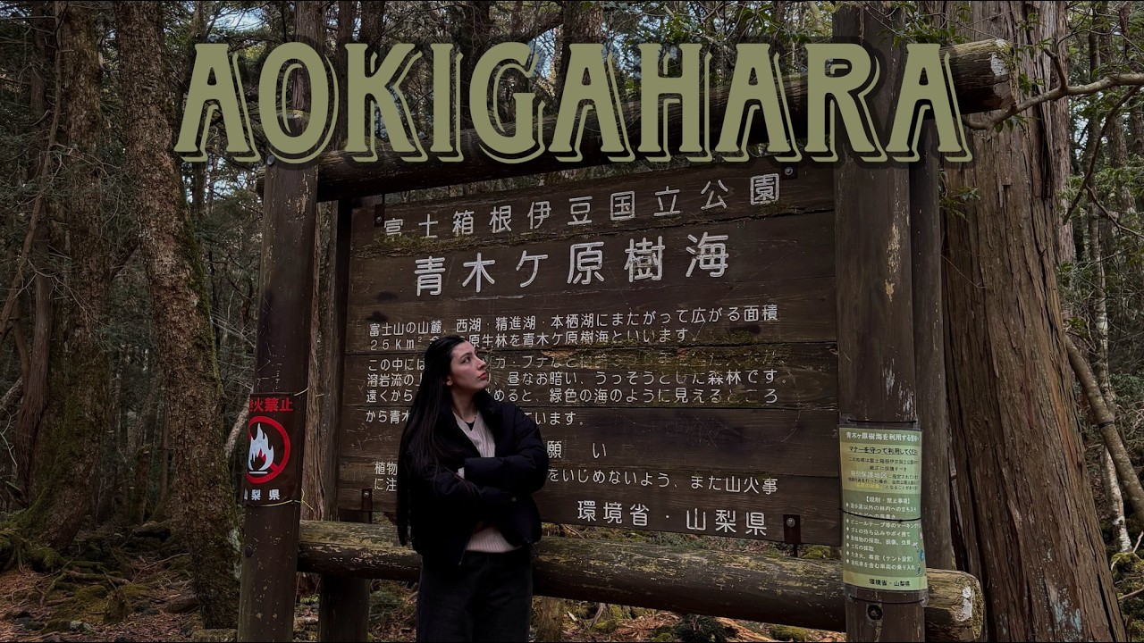 Aokigahara – Misterul din Japonia