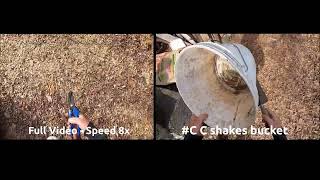 Learning Temporal Sentence Grounding From Narrated EgoVideos