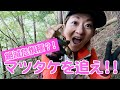 絶滅危惧種マツタケを追え！