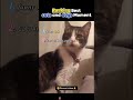 Please share with your friends #pov #tools #sketch #funny #acting #story