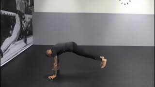 TAUFF functional partner and body weight training | Plank jumps with legs