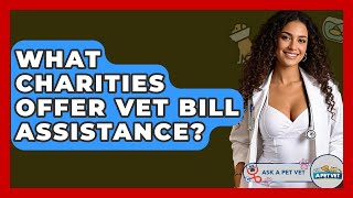 What Charities Offer Vet Bill Assistance? - Ask A Pet Vet