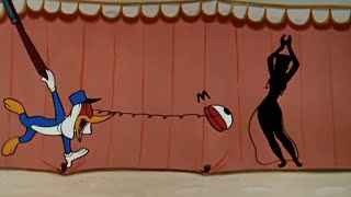 Socko In Morocco Belly Dancer