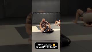 BJJ Star Mica Galvão and UFC champion Khamzat Chimaev grappling at Santo Studio 👀🏆