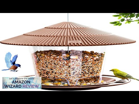 Hanging Bird Feeder Squirrel Proof for Outdoor Wild Bird Seed Outside Garden Review