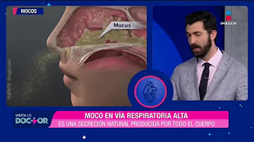 ¿De qué color es la mucosidad infecciosa?