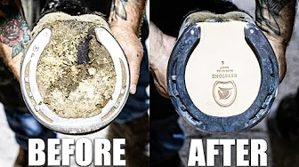 Oddly Satisfying Horse Hoof Restoration | FARRIER ASMR