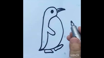 Draw Easy Penguin drawing/#inshort #viralvideo #Pengoen/Haa-Meem 4science