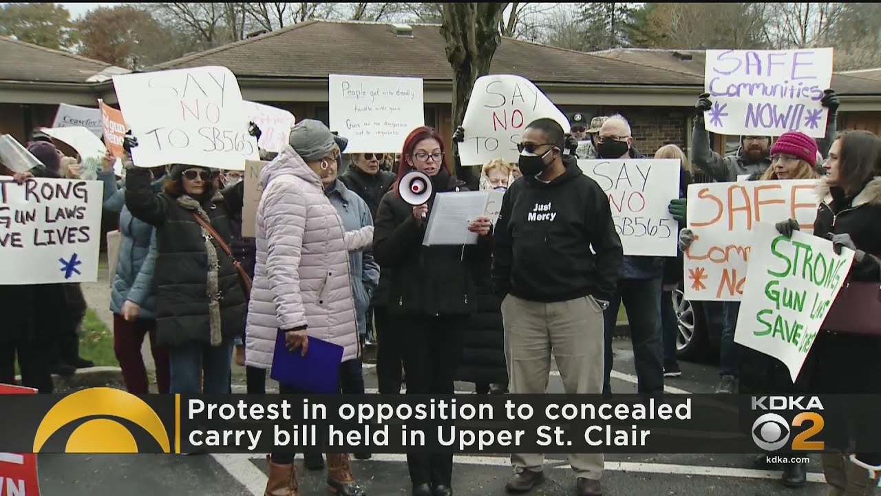 Protest In Opposition To Concealed Carry Bill Held In Upper St. Clair