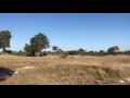 Kudu Running