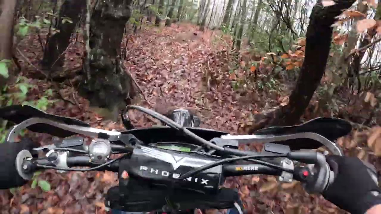 Testing Plews The Beast after 2" of rain