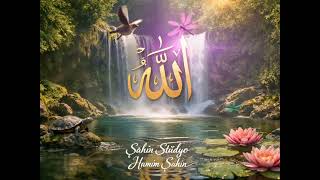 Sübhan Allah Sultan Allah