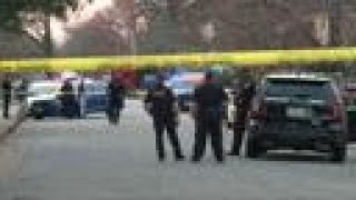 Homicide investigation on Dunedin Road in Portsmouth